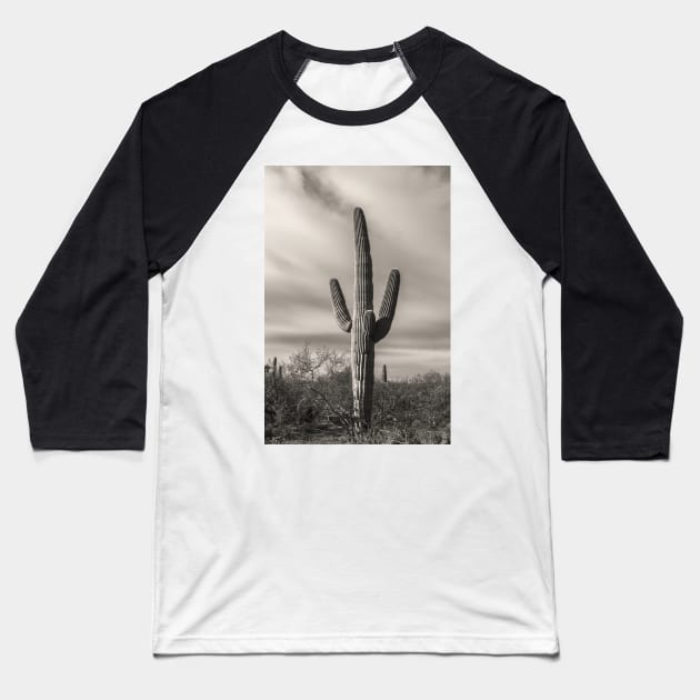 Saguaro Baseball T-Shirt by jvnimages